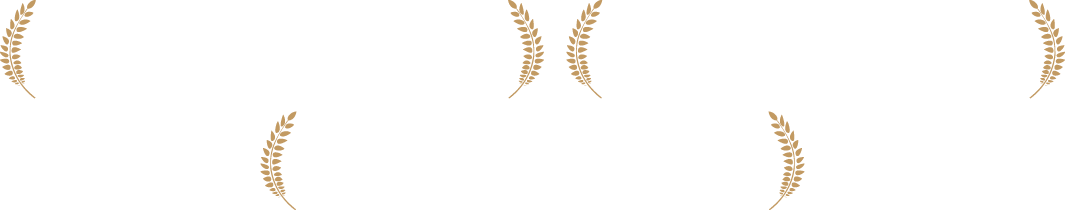 2018年第42回モントリオール世界映画祭ワールド・ドキュメンタリー部門、2018年第6回ディアスポラ映画祭、2018年第9回釜山平和映画祭、山形国際ドキュメンタリー映画祭2019、2019年ソウル国際女性映画祭 他多数正式上映