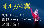 「オルガの翼」9月3日（土）より渋谷ユーロスペースにて公開予定！